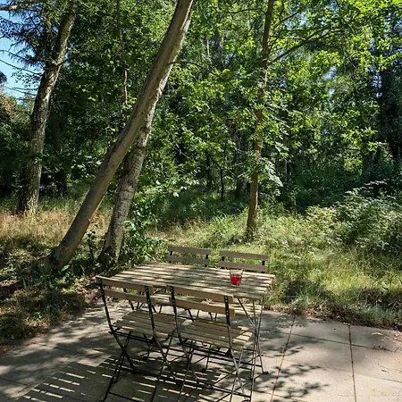Modern Oasis In The Middle Of The Forest In * Rørvig