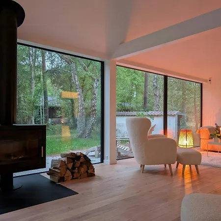 Modern Oasis In The Middle Of The Forest In *