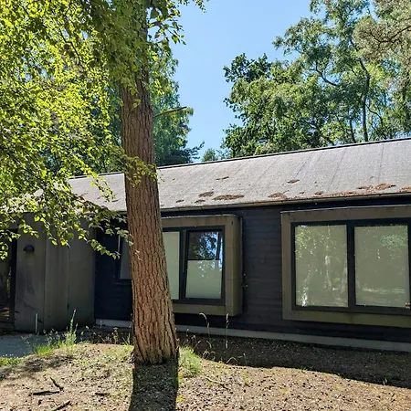 Modern Oasis In The Middle Of The Forest In Semesterbostad