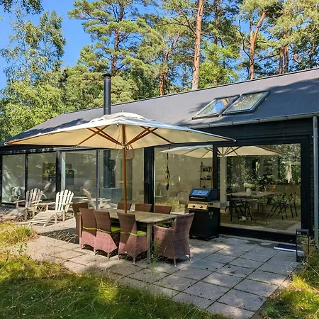 Modern Oasis In The Middle Of The Forest In