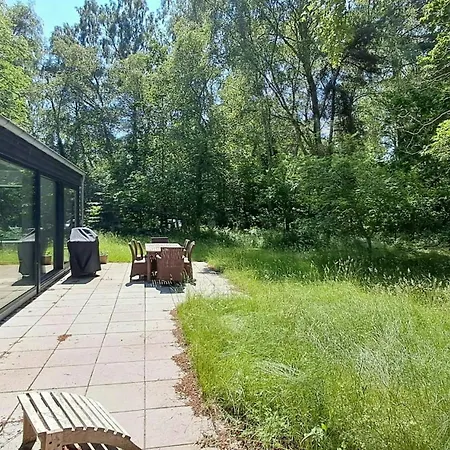 Modern Oasis In The Middle Of The Forest In *