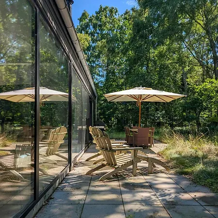 Modern Oasis In The Middle Of The Forest In *